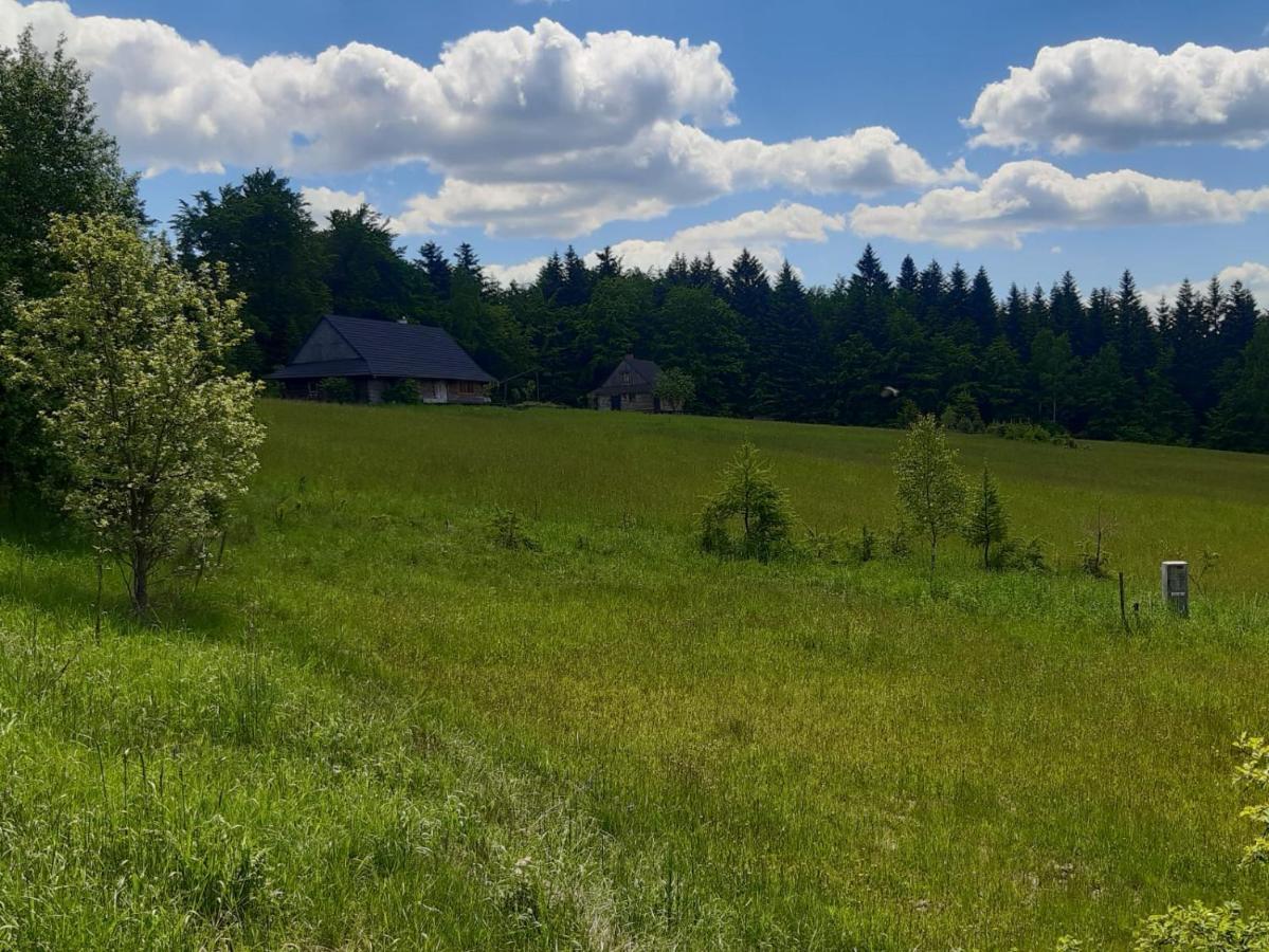 Apartament Kuźnia Nowica Uscie Gorlickie Zewnętrze zdjęcie