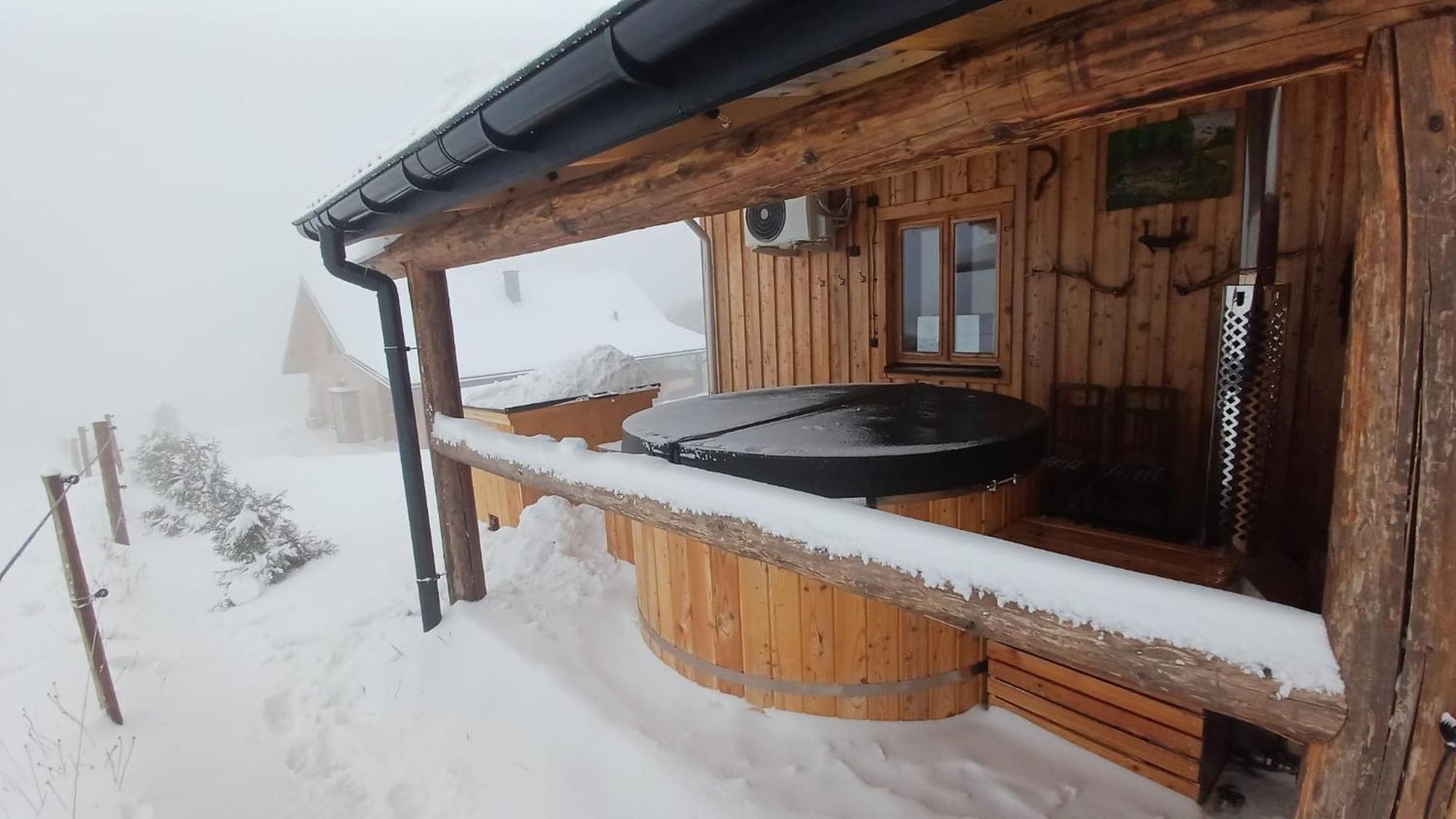 Apartament Kuźnia Nowica Uscie Gorlickie Zewnętrze zdjęcie